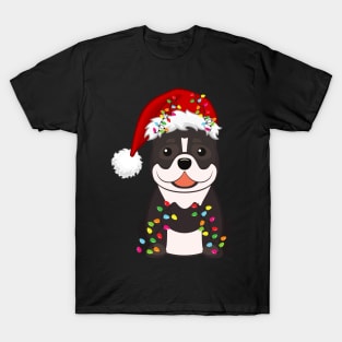 Pitbull Holiday Christmas Light - Funny Pibull Lights Christmas in Santa Hat Holiday Santa T-Shirt